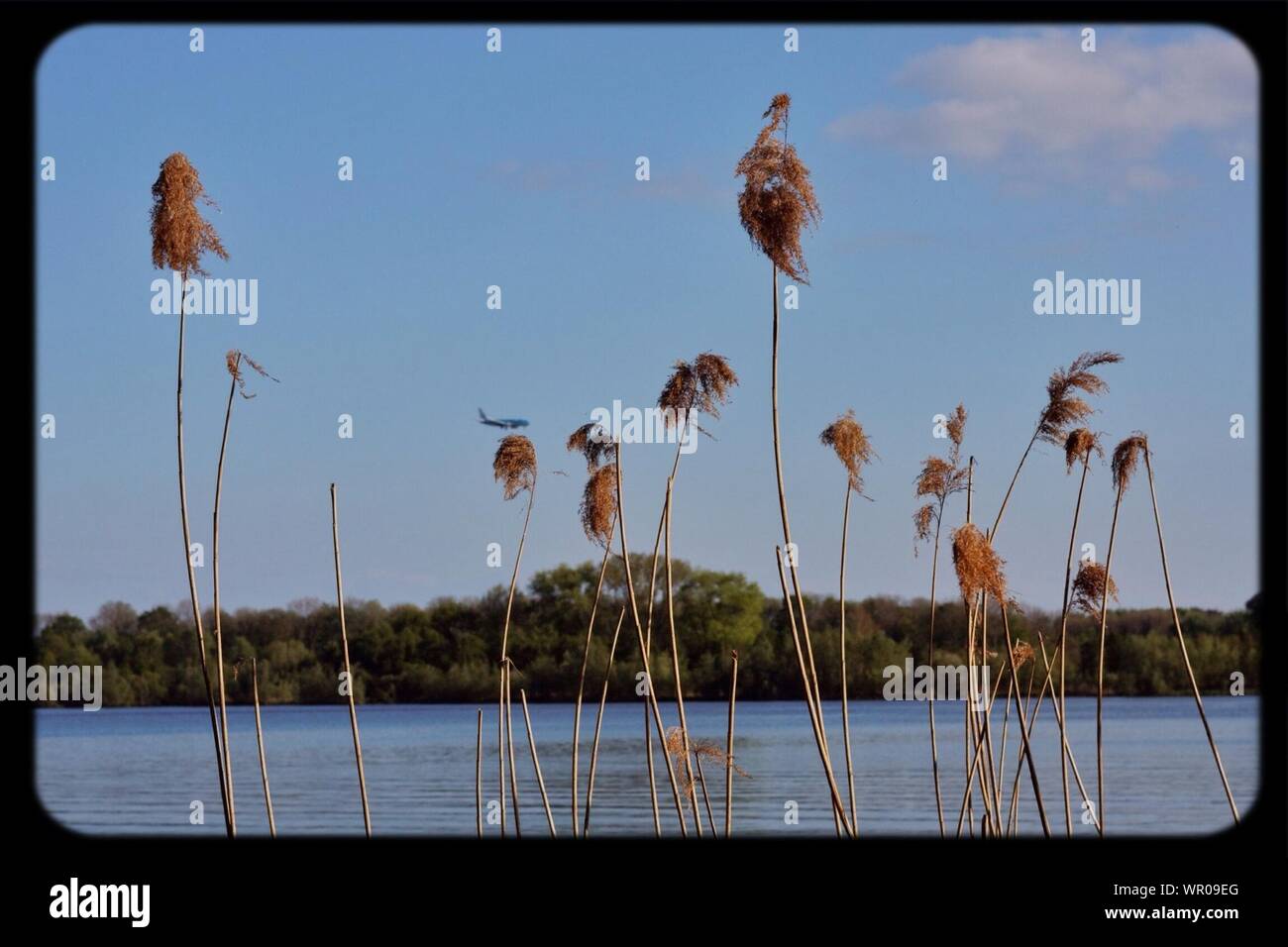 Reed river hi-res stock photography and images - Alamy