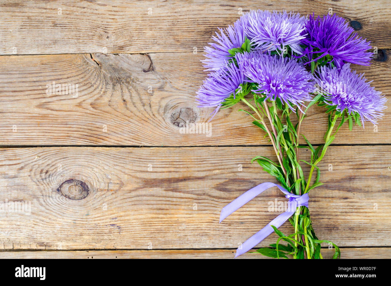 Autumn aster flowers multicolored on wooden background Stock Photo