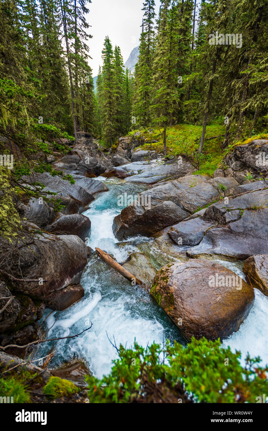 Beautiful seasonal waterfall cascading through forest on mountain hiking trail, demonstrating the seasonal variety of local trail experiences