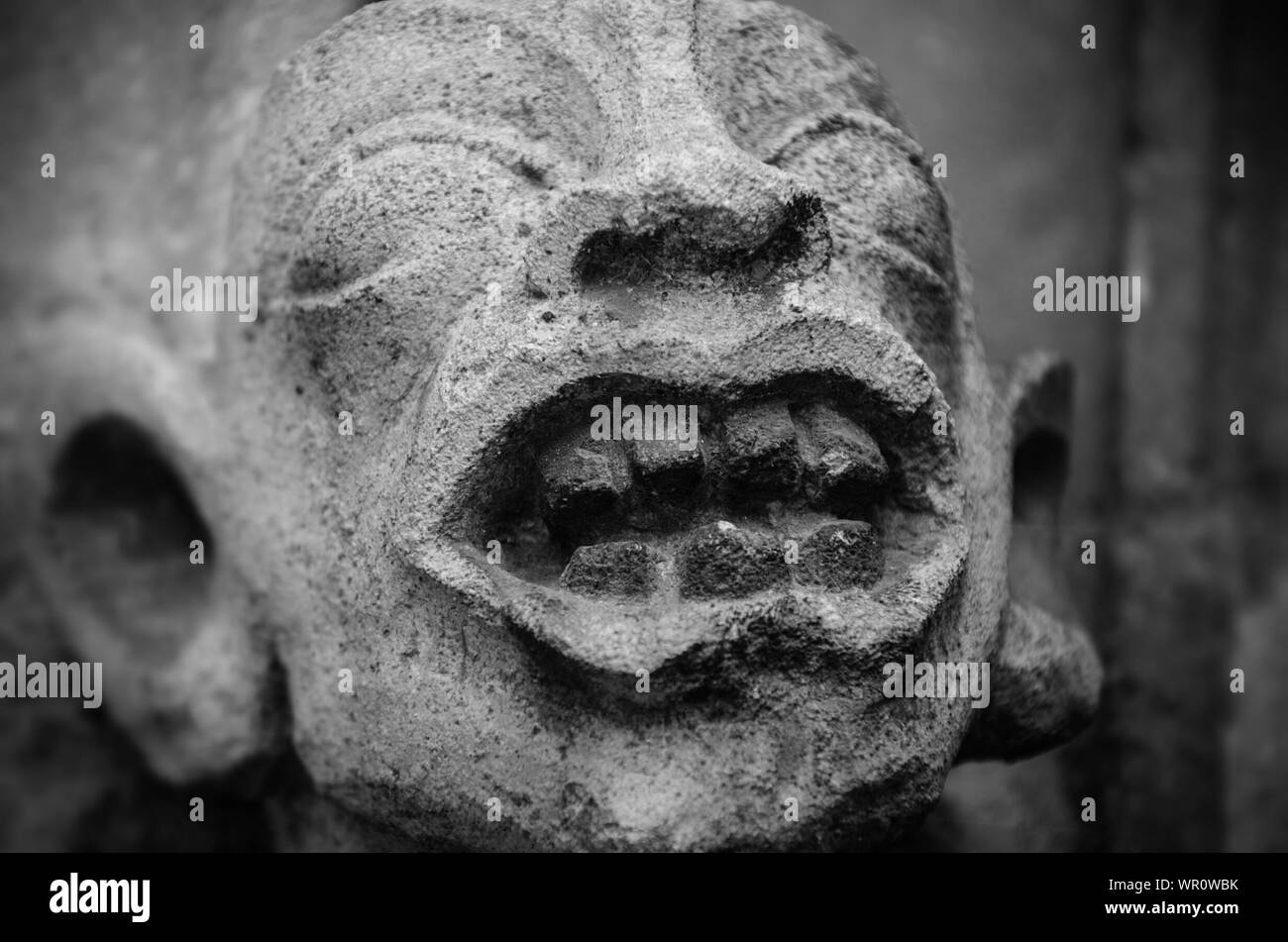 Male face close up human hi-res stock photography and images - Alamy