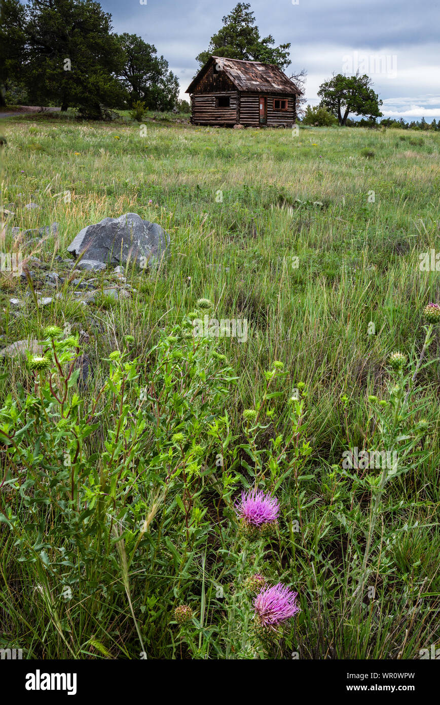 A solitary historic log cabin near Sipe Wildlife Area in the White Mountains of Arizona. Stock Photo