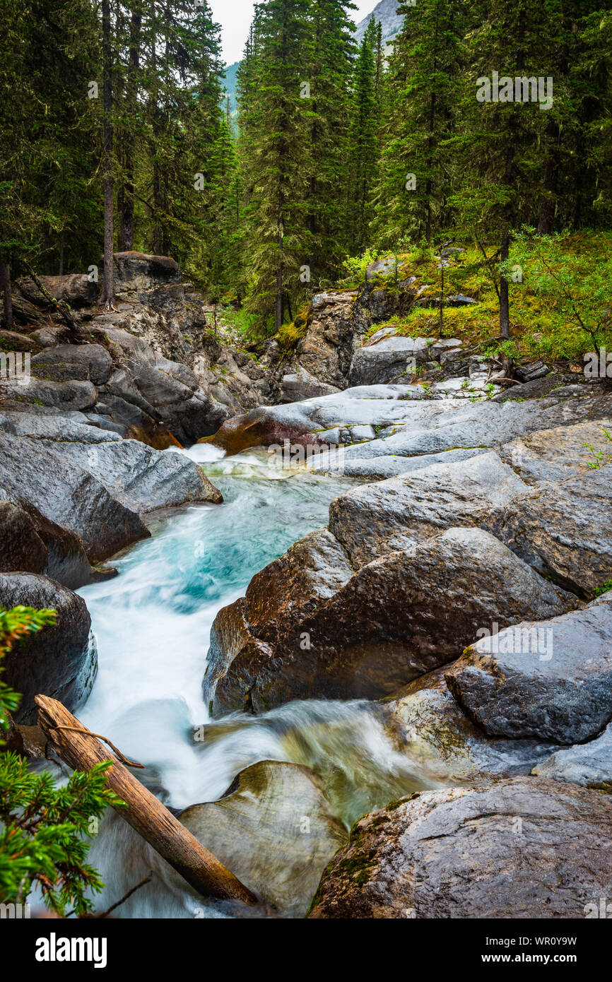 Scenic waterfall and mountain creek running through the forest. Ribbon Falls hiking Trail