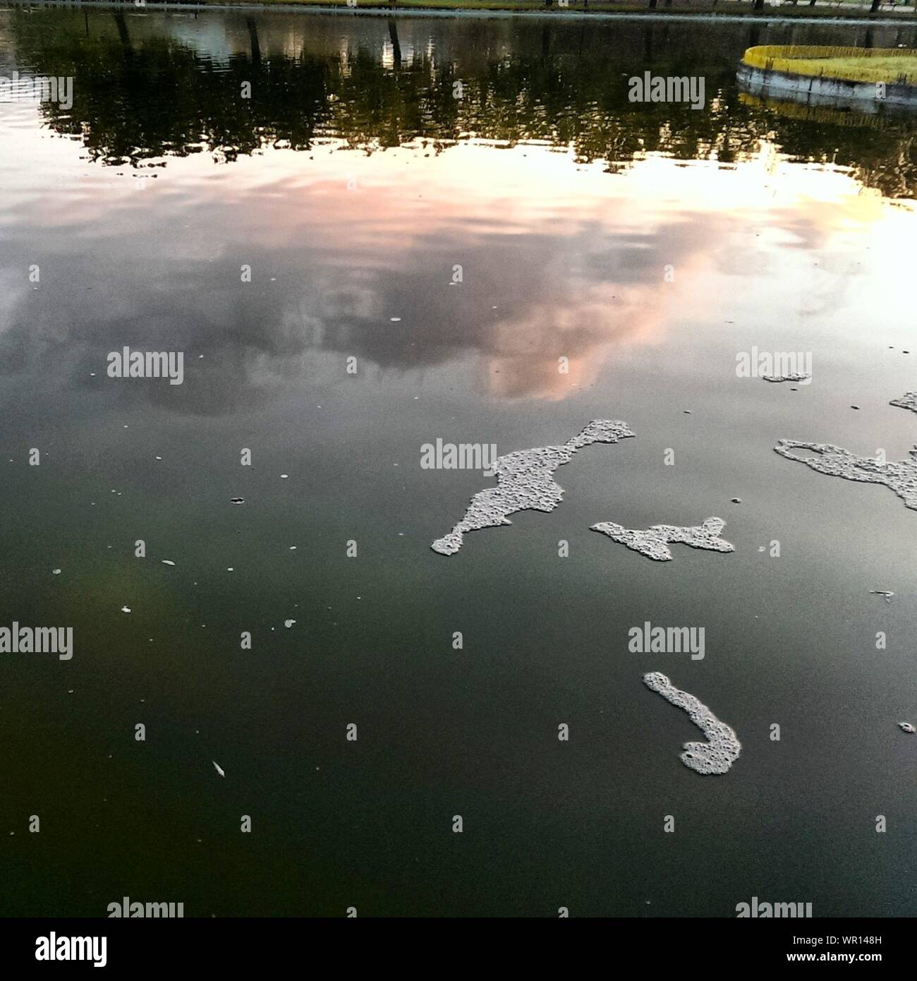 Foam On Lake Stock Photo Alamy