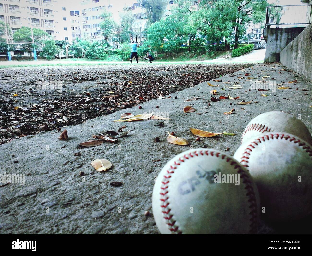People Playing Baseball In Park Stock Photo