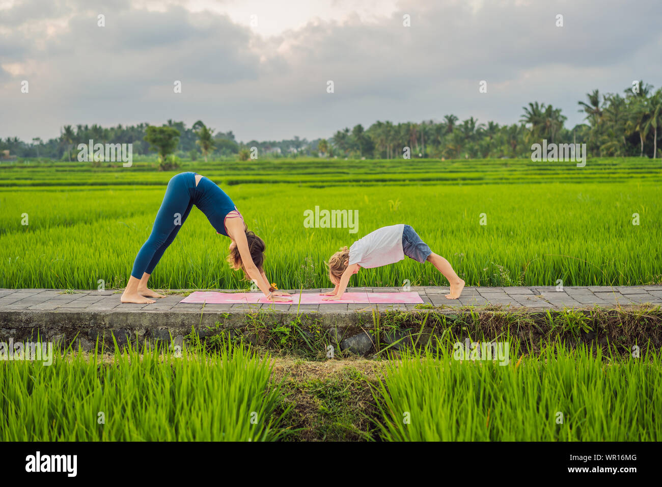 Boy and his yoga teacher doing yoga in a rice field Stock Photo - Alamy