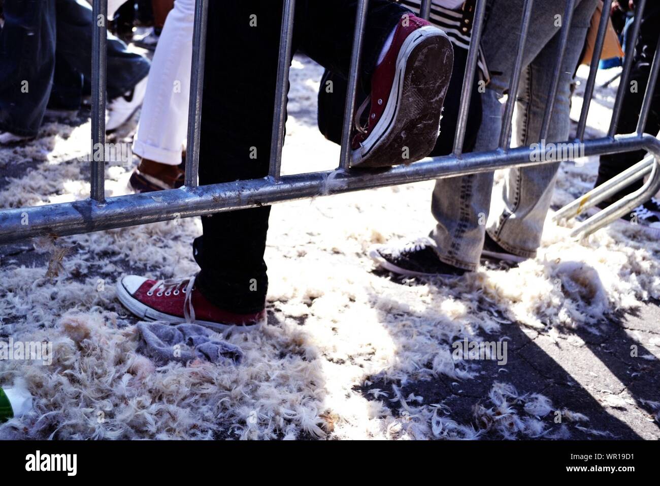 Low Section Of People Standing On Street Covered With Feathers
