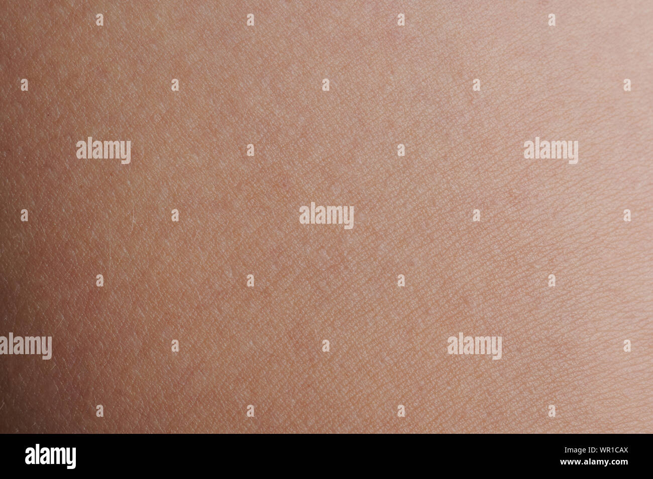 Blank clean skin texture background macro close up view Stock Photo