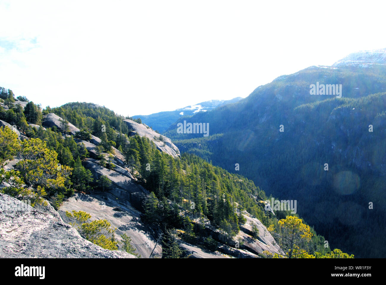 Granite rock and conifer forest views from Stawamus Chief mountain hiking trails, British Columbia, Canada Stock Photo