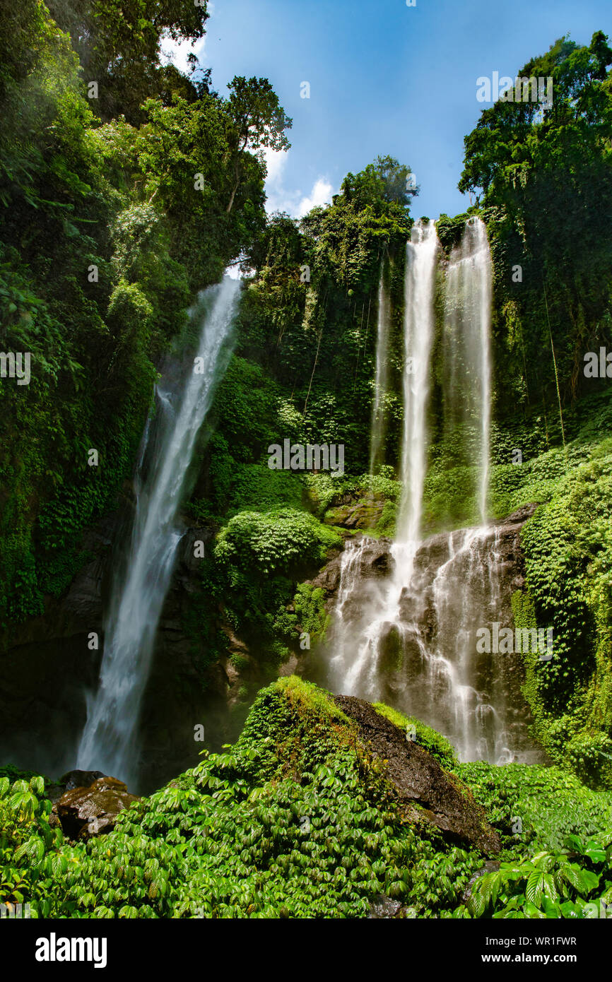 Beautiful Sekumpul Waterfall in the lush green TropicalBali jungle ...