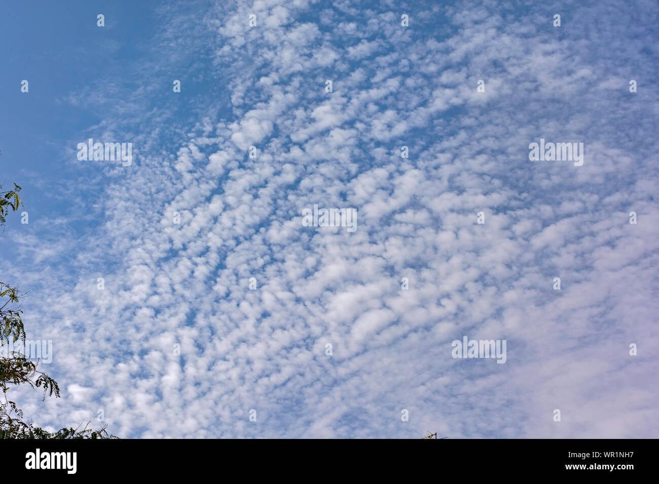 Cirrocumulus Stratiformis and altocumulus Clouds in a Bright Blue Sky with a bit of haze in the foreground Stock Photo
