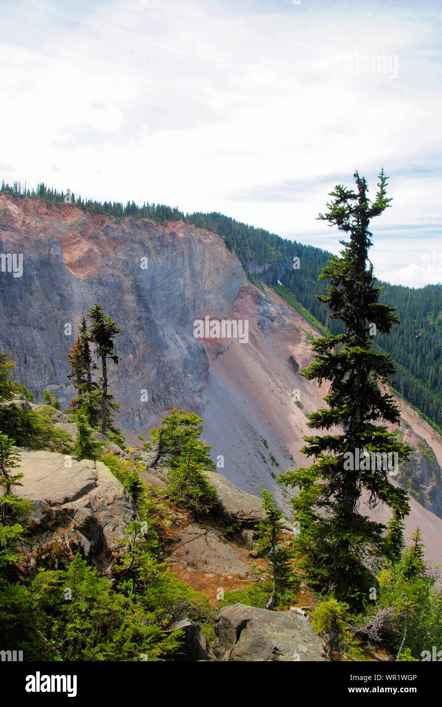 A view of the barrier old rocks cliff seen while hiking in Garibaldi Provincial Park, with green conifers in spring, British Columbia, Canada Stock Photo