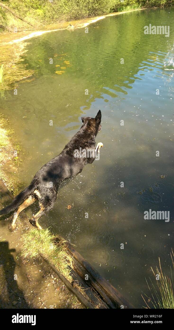 Jumping water hires stock photography and images Alamy