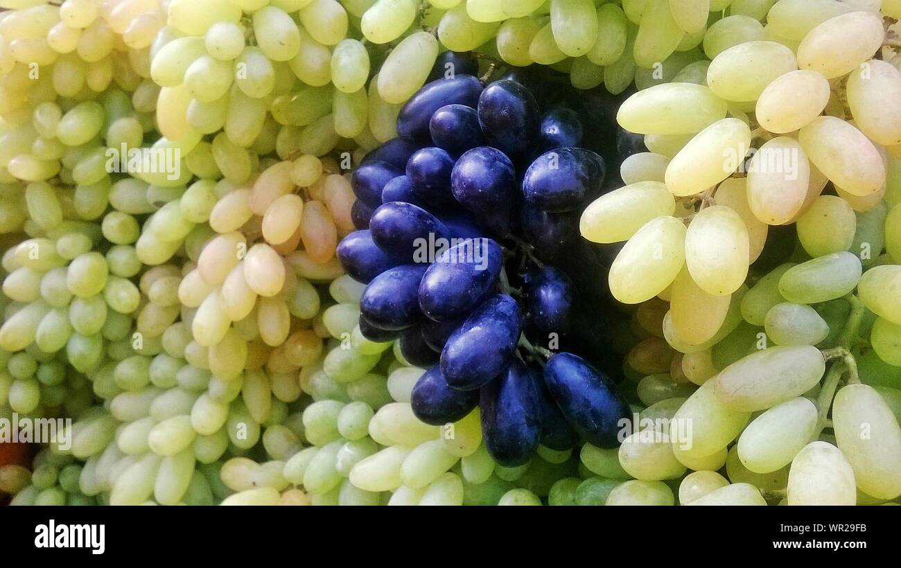 Detail Shot Of Grapes Stock Photo Alamy