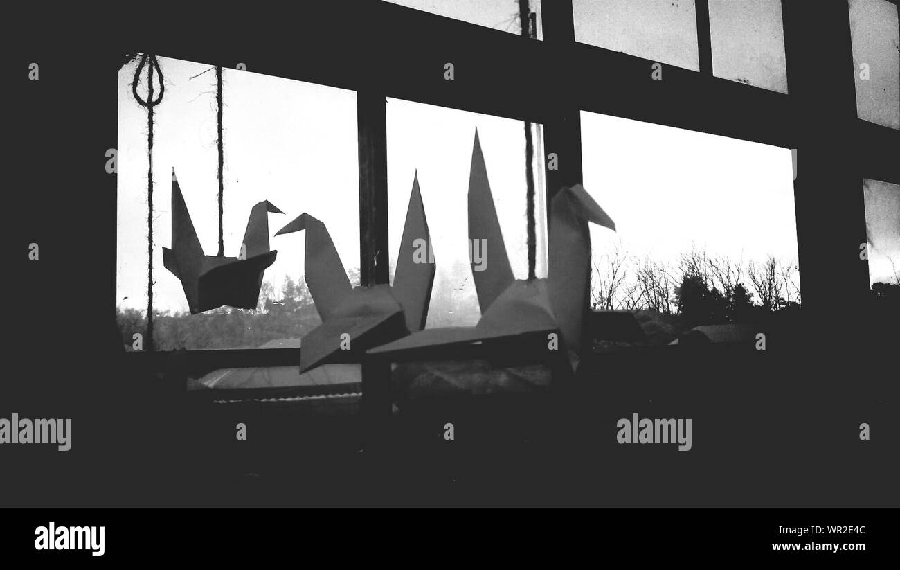 Paper Cranes Hanging By Window Stock Photo Alamy