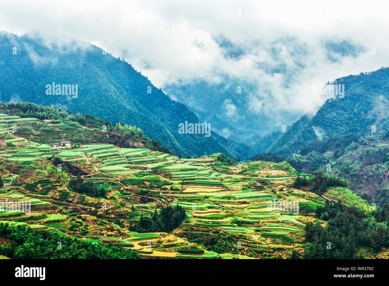 Jiangxi province hires stock photography and images Alamy