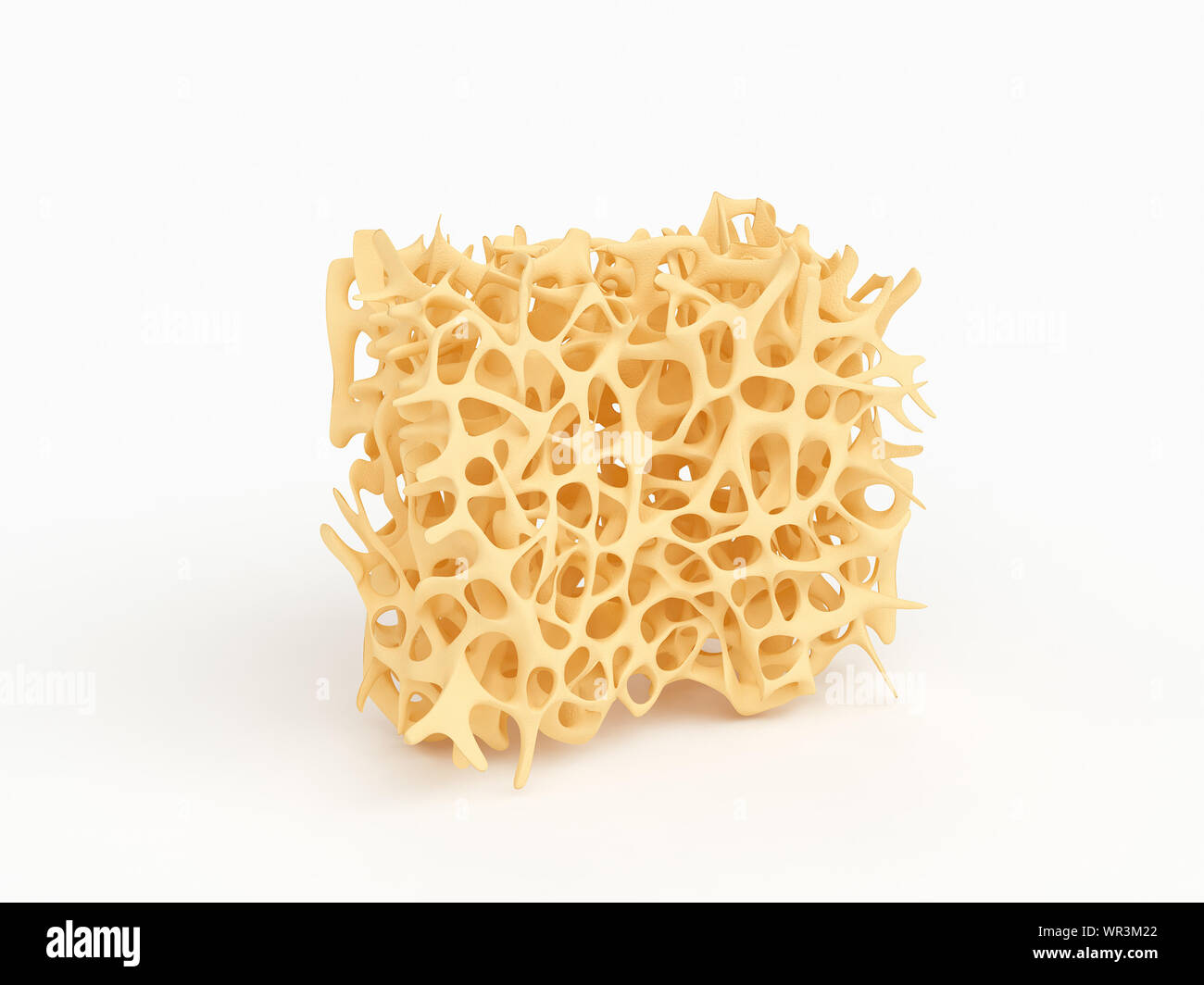 A piece of bone spongy structure close-up, texture of bone with osteoporosis isolated on white, 3d illustration Stock Photo