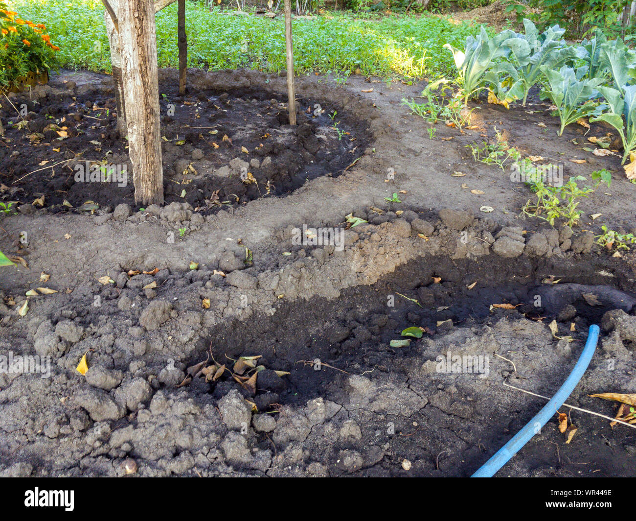 Ditches to facilitate watering plants in the garden Stock Photo