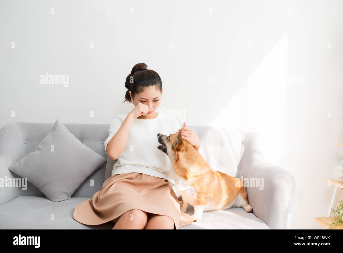 Young Asian female crying on sofe with her Corgi dog Stock Photo