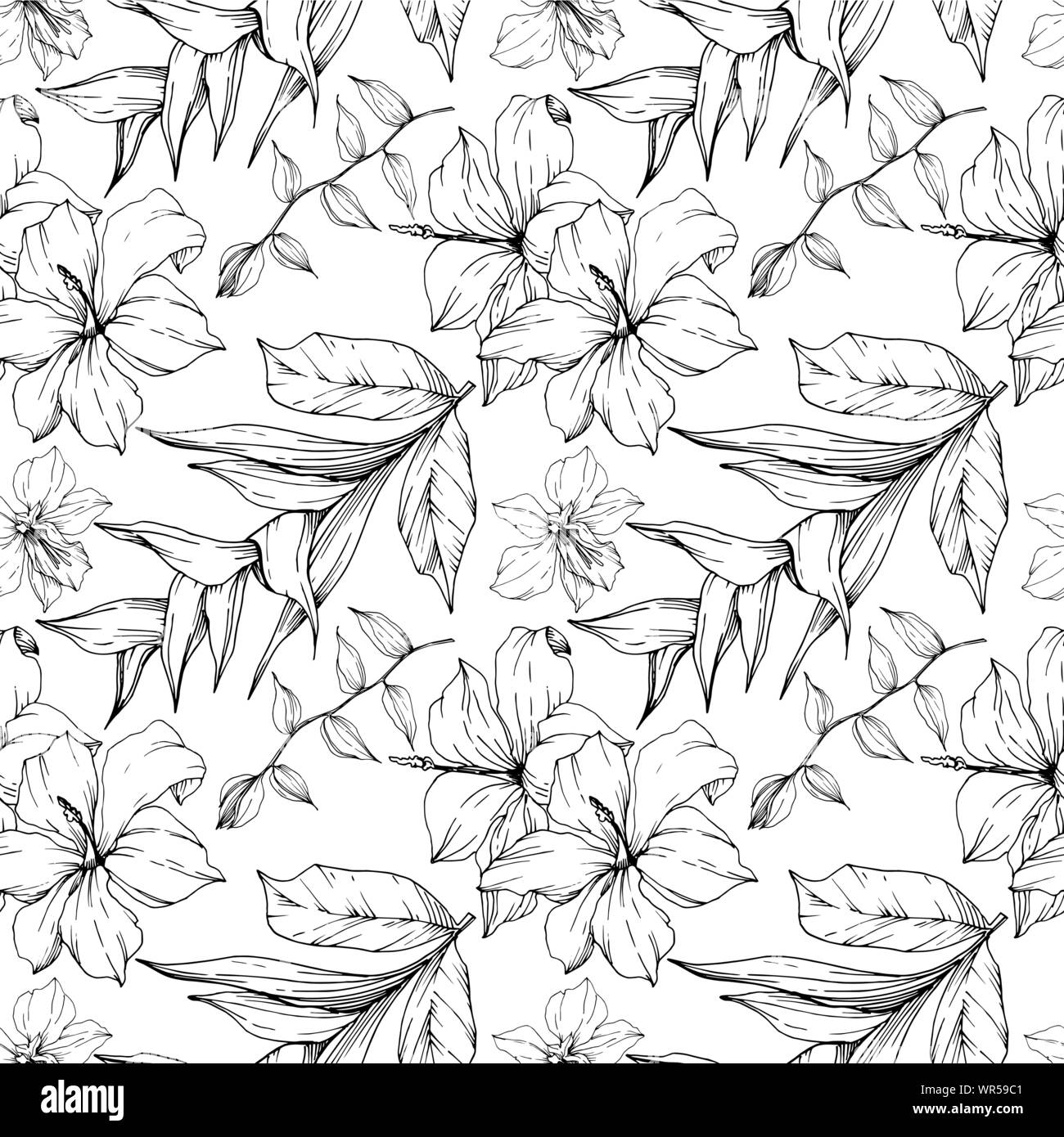 Vector Tropical Flowers And Leaves Isolated Black And White Engraved Ink Art Seamless Background Pattern Stock Vector Image Art Alamy Vector Tropical Flowers And Leaves Isolated Black And White Engraved Ink Art Seamless Background Pattern Stock Vector Image Art Alamy