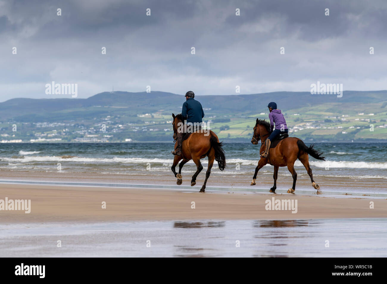 Riders exercising their horses  on Benone Beach, Northern Ireland, UK. Stock Photo