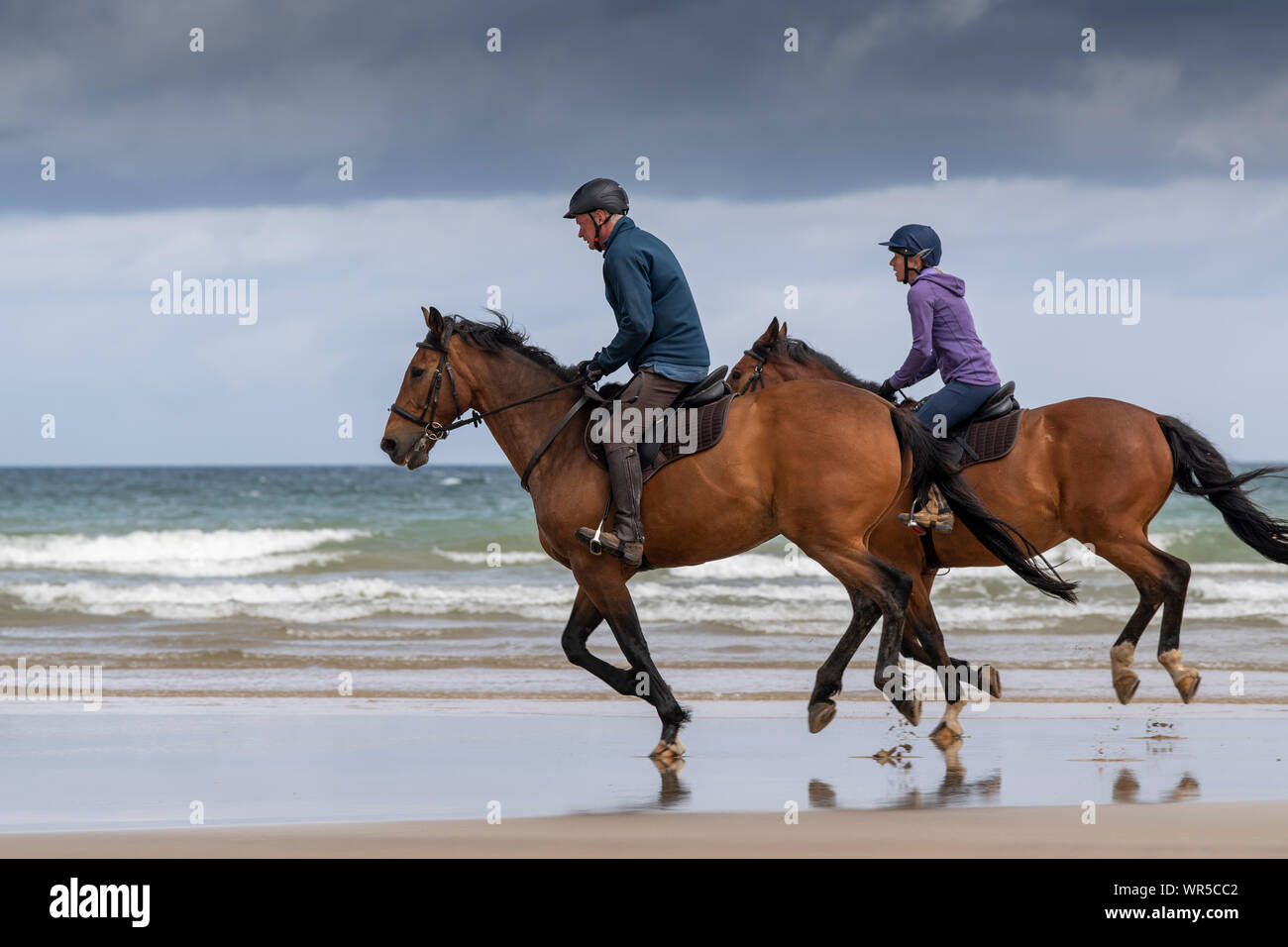 Run horse beach hi-res stock photography and images - Alamy