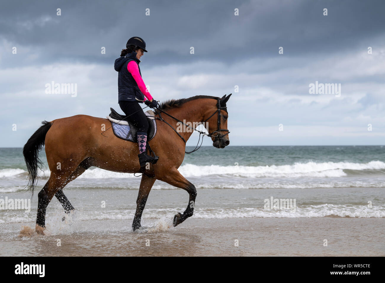 Riders exercising their horses  on Benone Beach, Northern Ireland, UK. Stock Photo