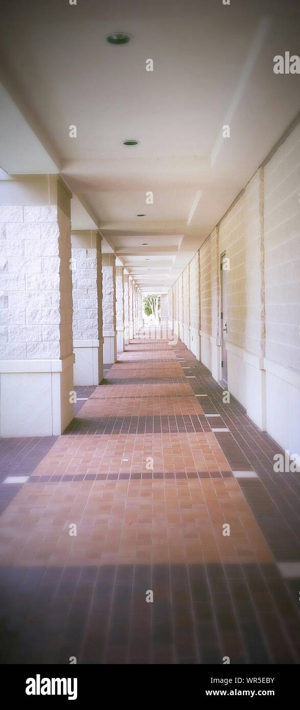 Vanishing Empty Colonnade Stock Photo