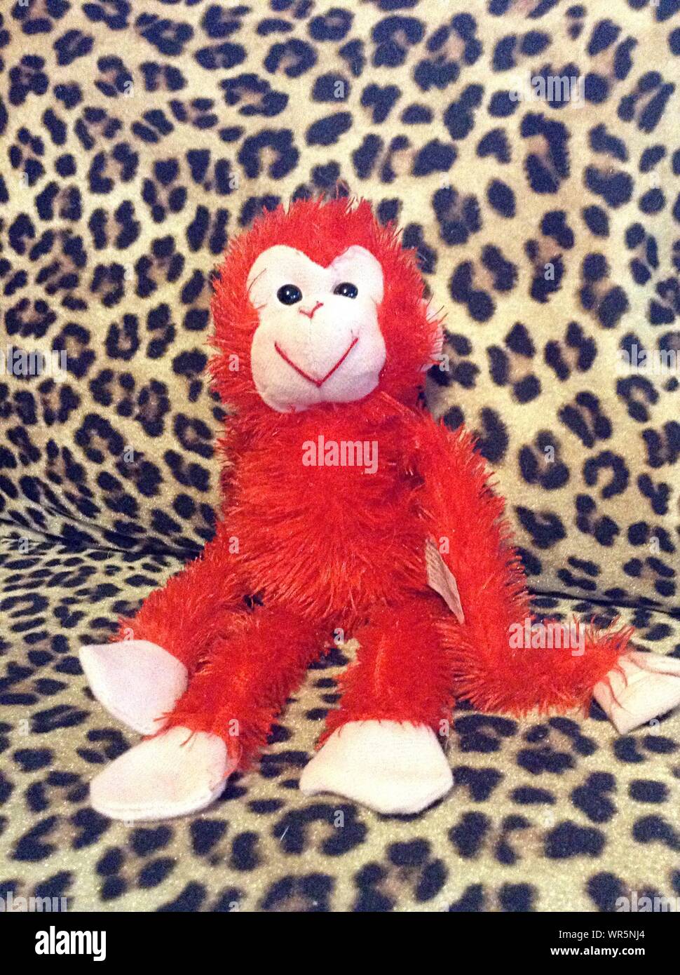 red stuffed monkey