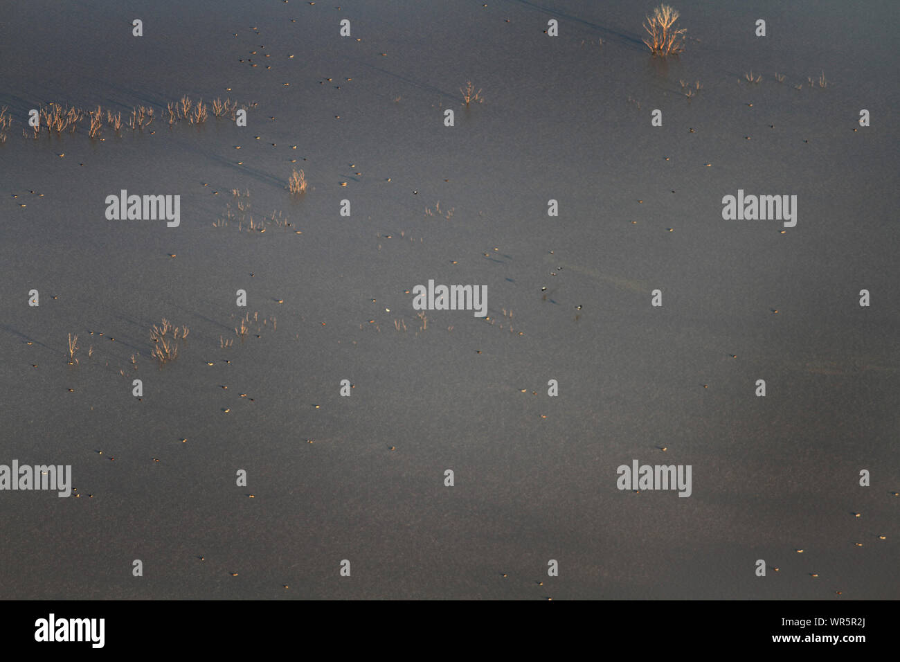 Aerial view of still water, South Africa Stock Photo - Alamy