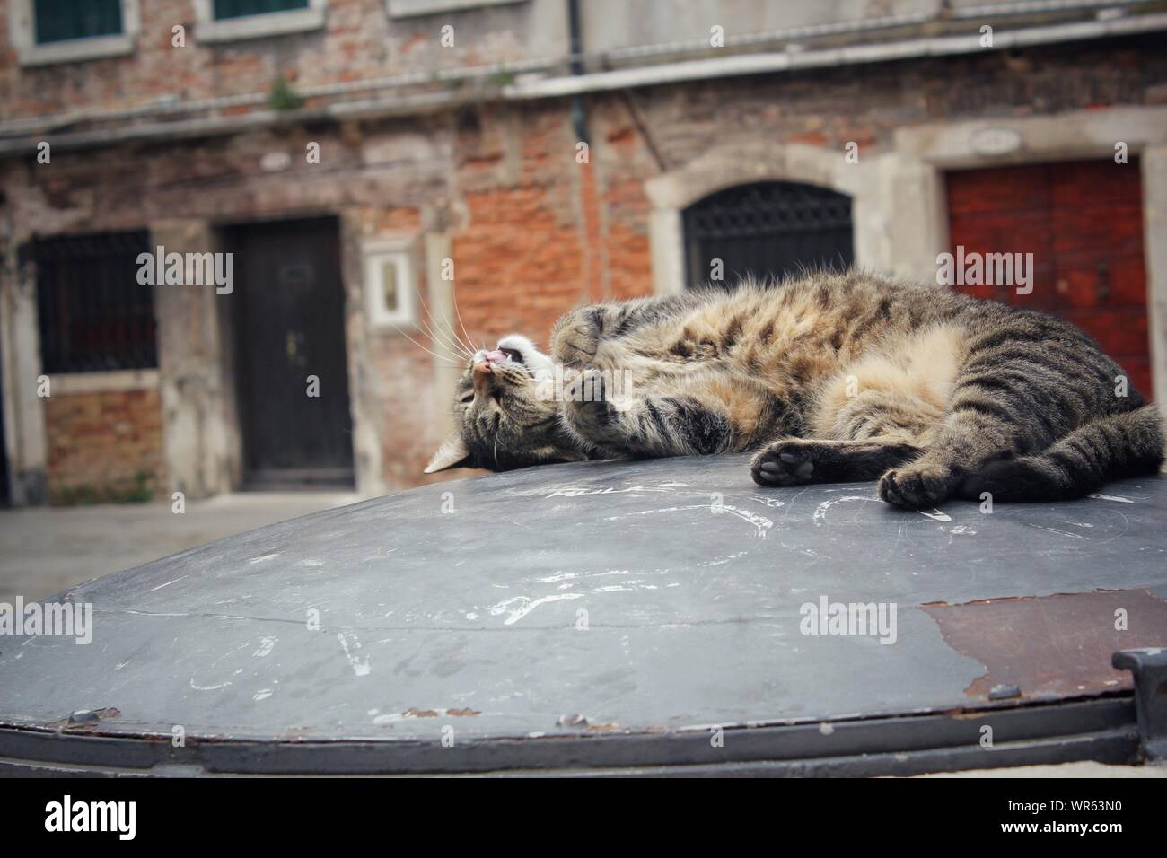 Car roof down hires stock photography and images Alamy