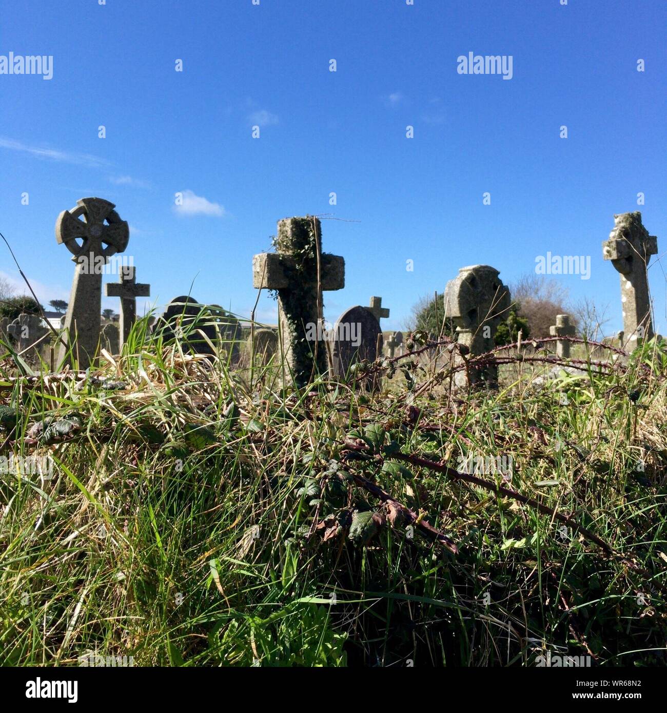 Field of headstones hires stock photography and images Alamy