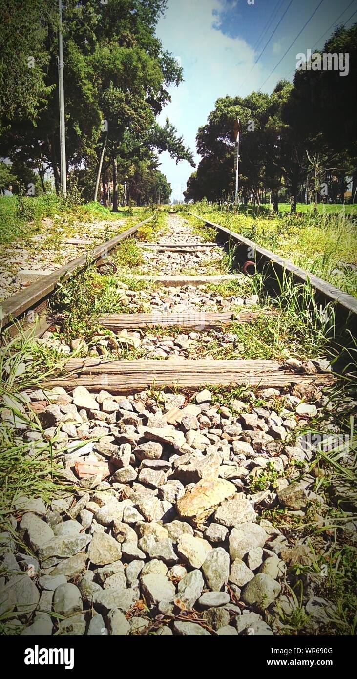 Railroad Track In Country Side Stock Photo