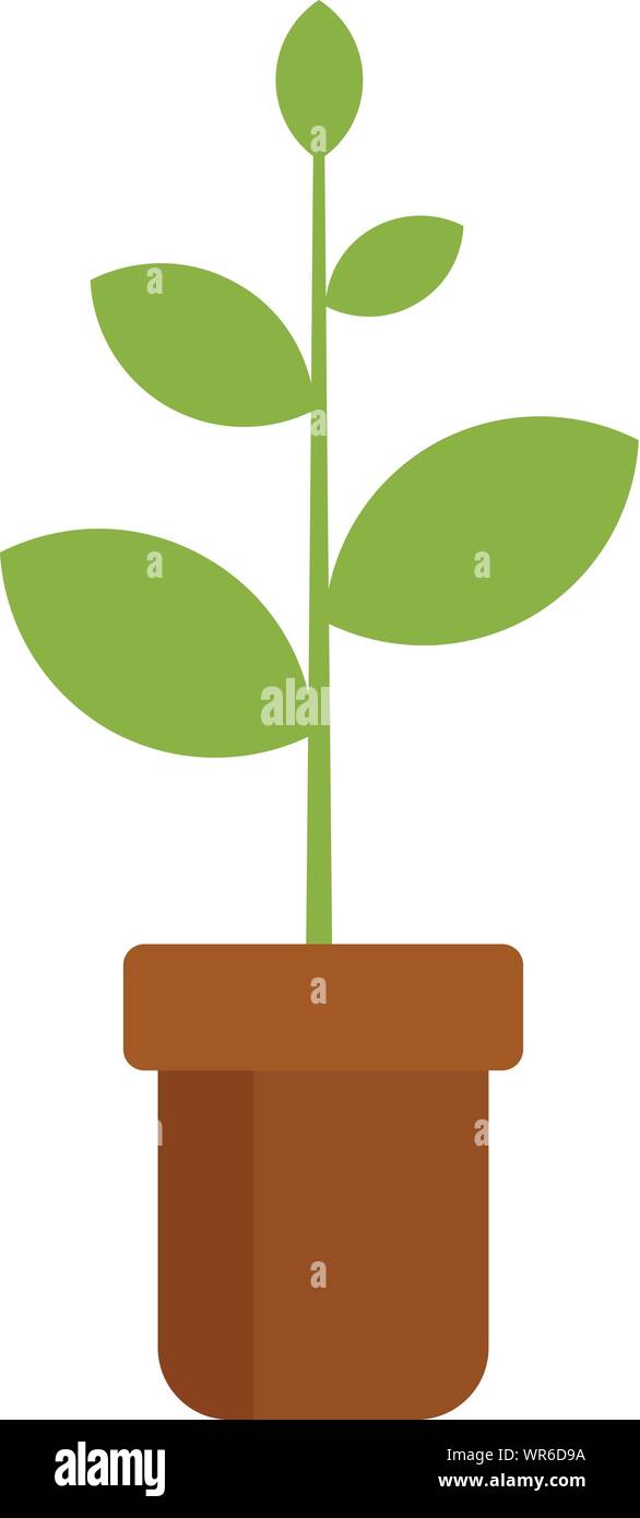Plant pot icon. Flat illustration of plant pot vector icon for web ...
