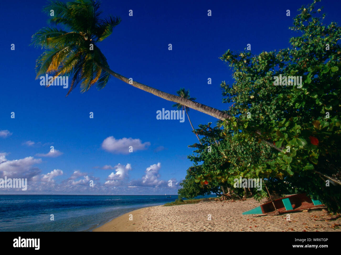 Tree falling over hires stock photography and images Alamy