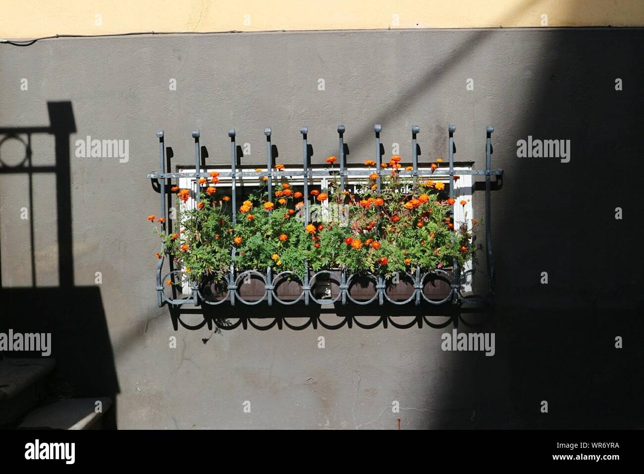 Basement garden hires stock photography and images Alamy