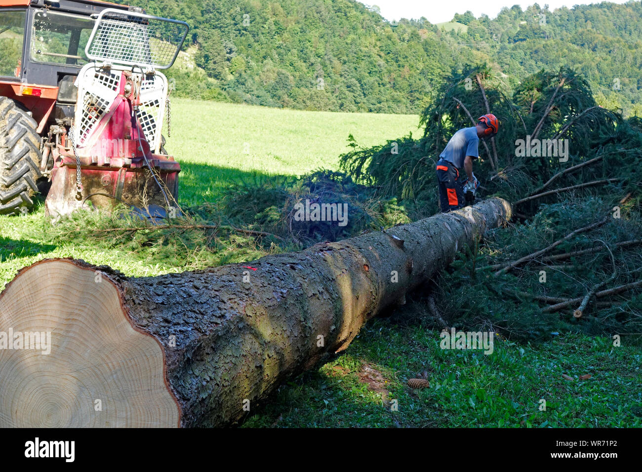 Chainsaw opeater works on 