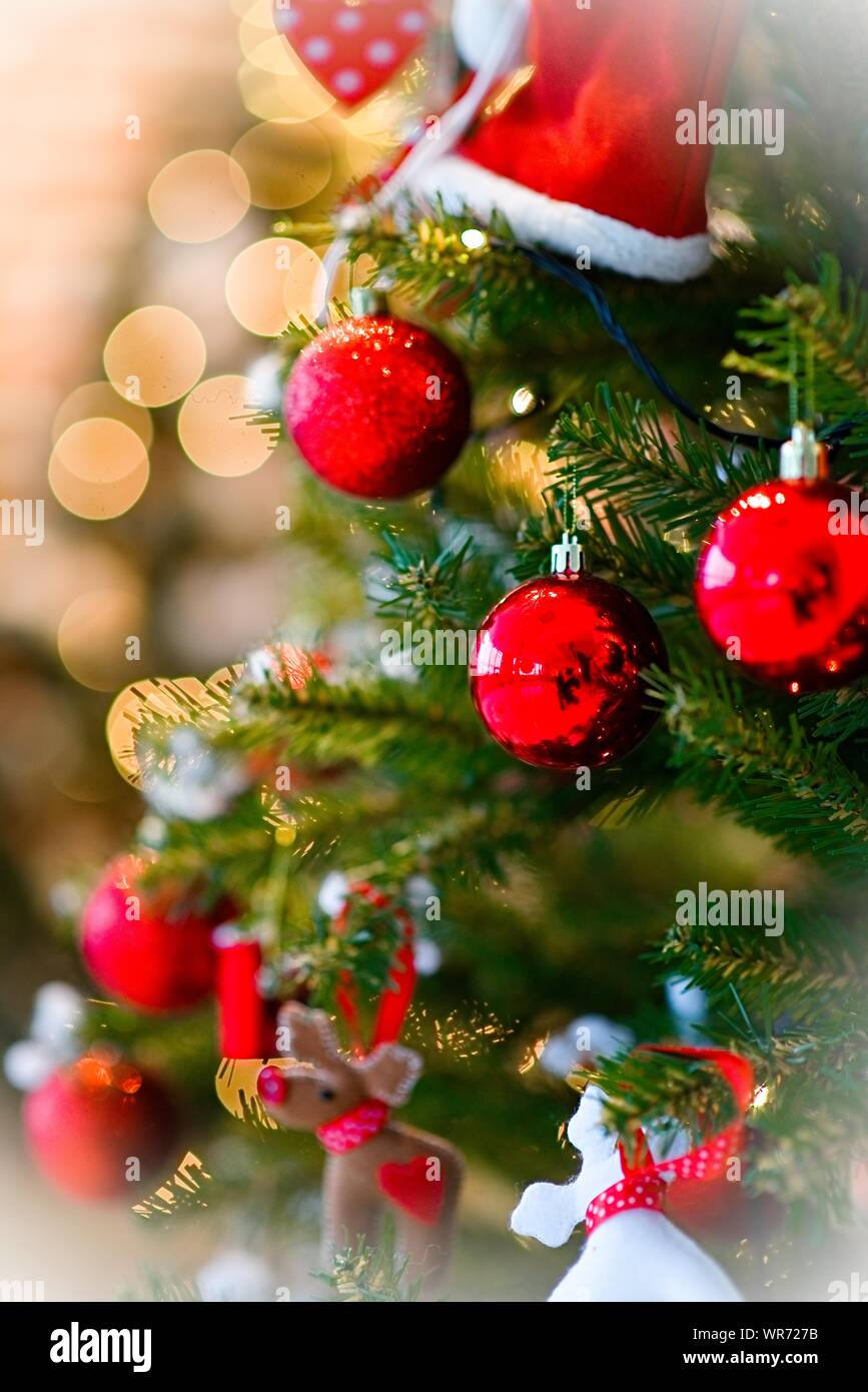 Christmas tree with bokeh, copy space, Christmas holiday background.Two ...