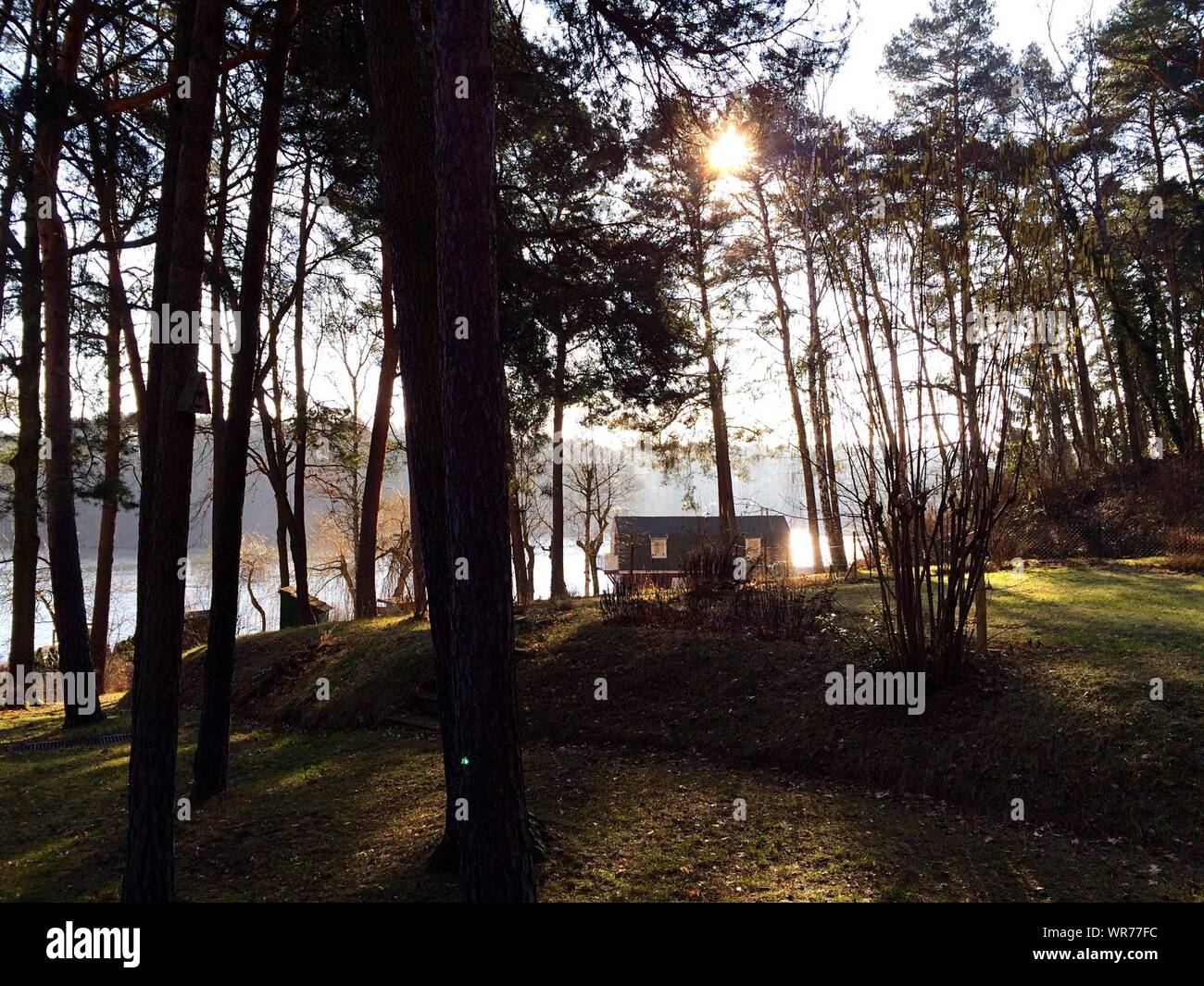 Lake house forest hi-res stock photography and images - Alamy
