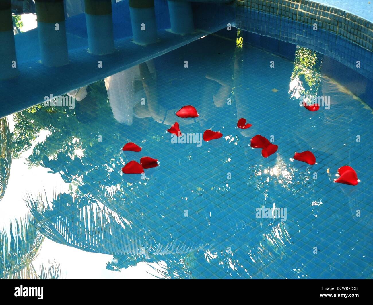 Flower petals in swimming pool hires stock photography and images Alamy