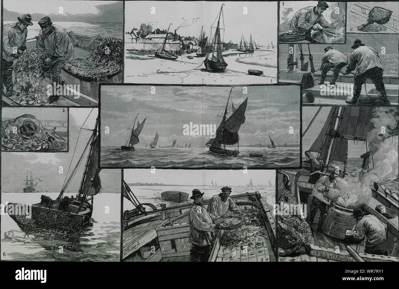 Shrimping at the mouth of the Thames. Leigh-on-Sea. Fishermen 1883 ILN print Stock Photo