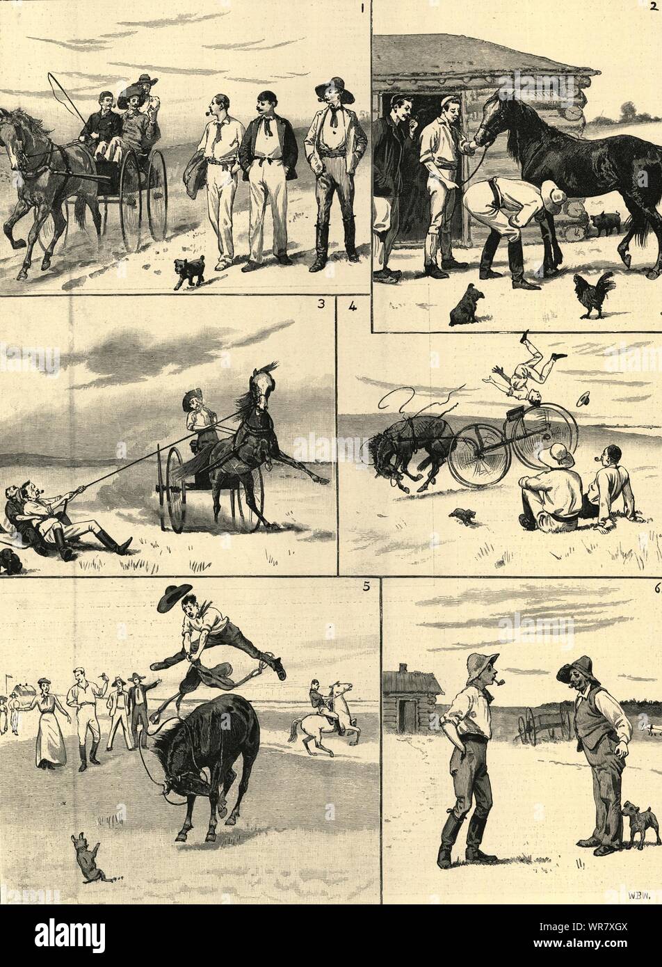 Our first deal in horseflesh in Manitoba. Canada. Cartoons 1892 ILN full page Stock Photo