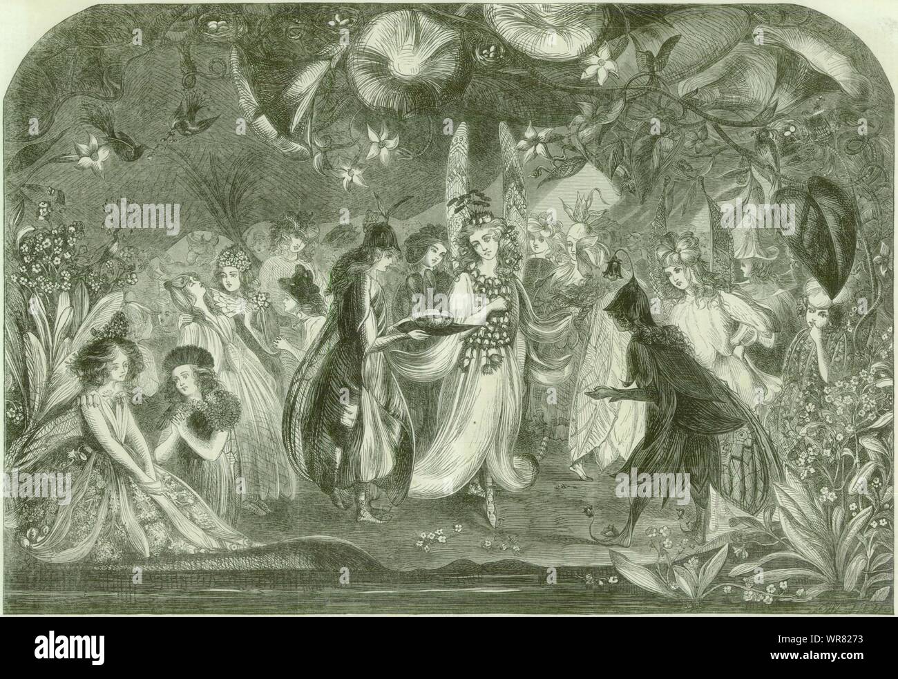 Lily's Ball. Fantasy 1863 antique ILN full page print Stock Photo