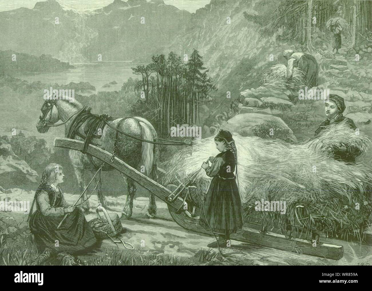 Hay harvest norway hi-res stock photography and images - Alamy