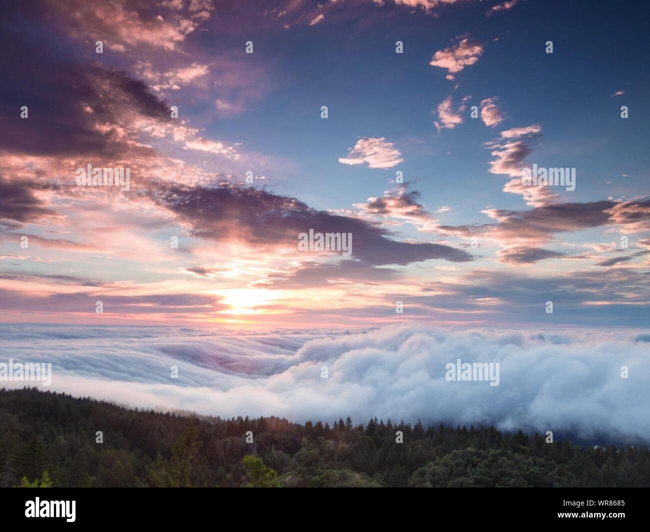 Mt tamalpais sunrise hires stock photography and images Alamy