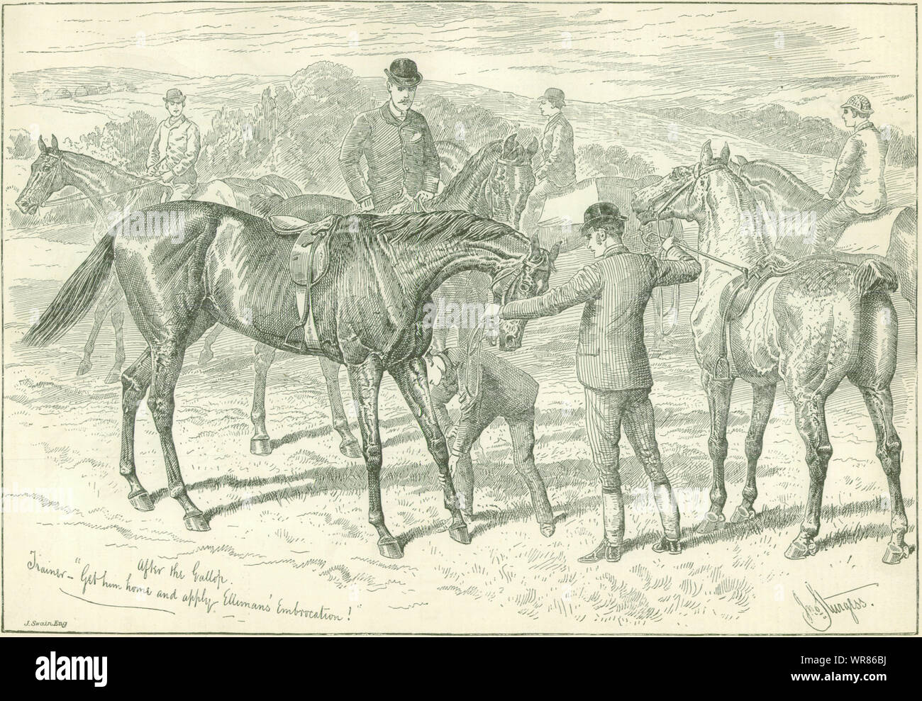 'Get him home & apply Elliman's Embrocation' Advert. Slough. Horses 1888 Stock Photo