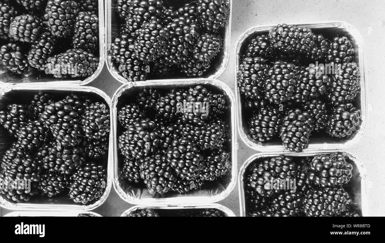 Container of blackberries hi-res stock photography and images - Alamy
