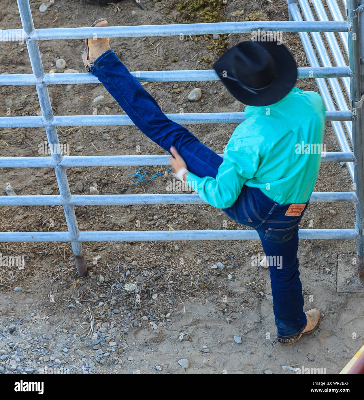 Cowboy has rear view hi-res stock photography and images - Alamy