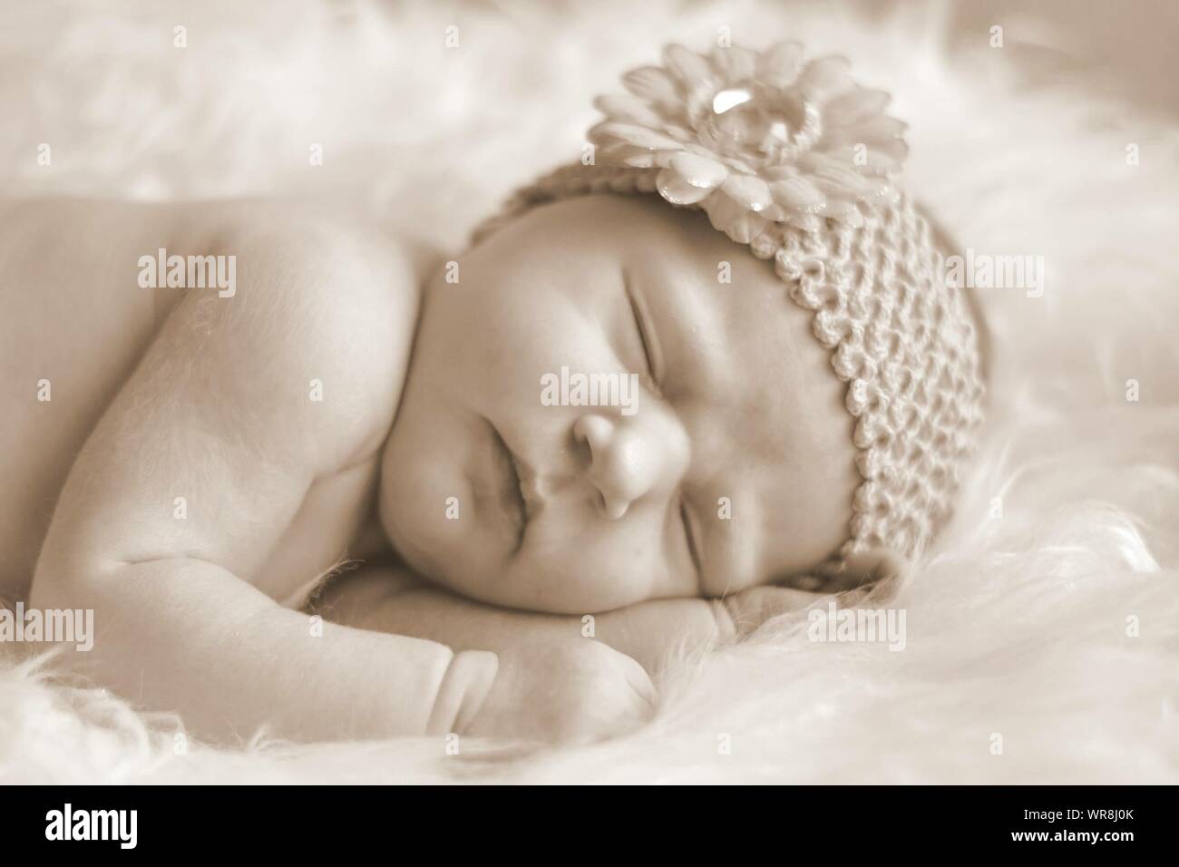 The new born baby girl hires stock photography and images Alamy