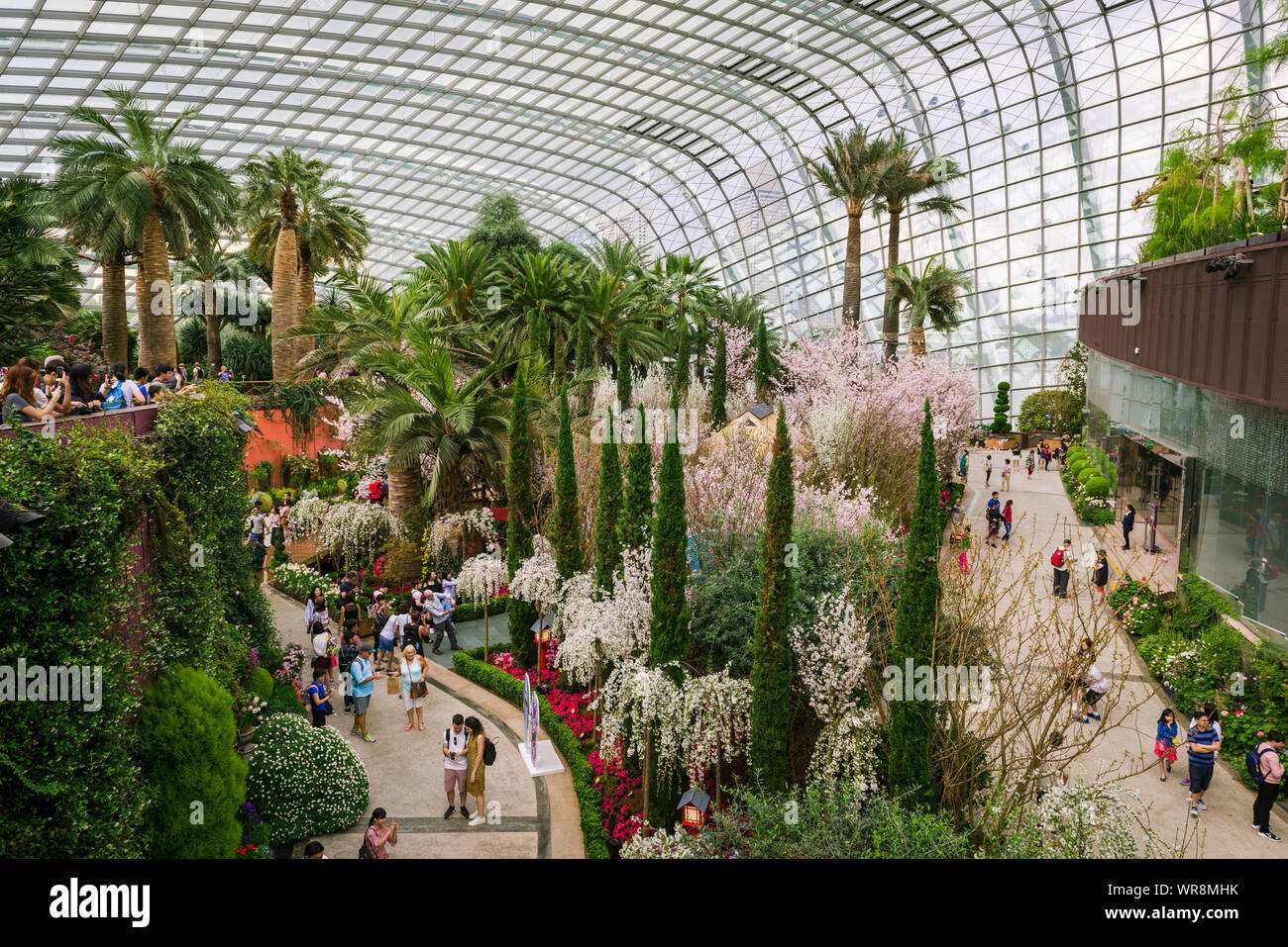 Singapore, 19 March 2018: Tourists at enjoying the sakura spring festival at Gardens by the Bay. Stock Photo