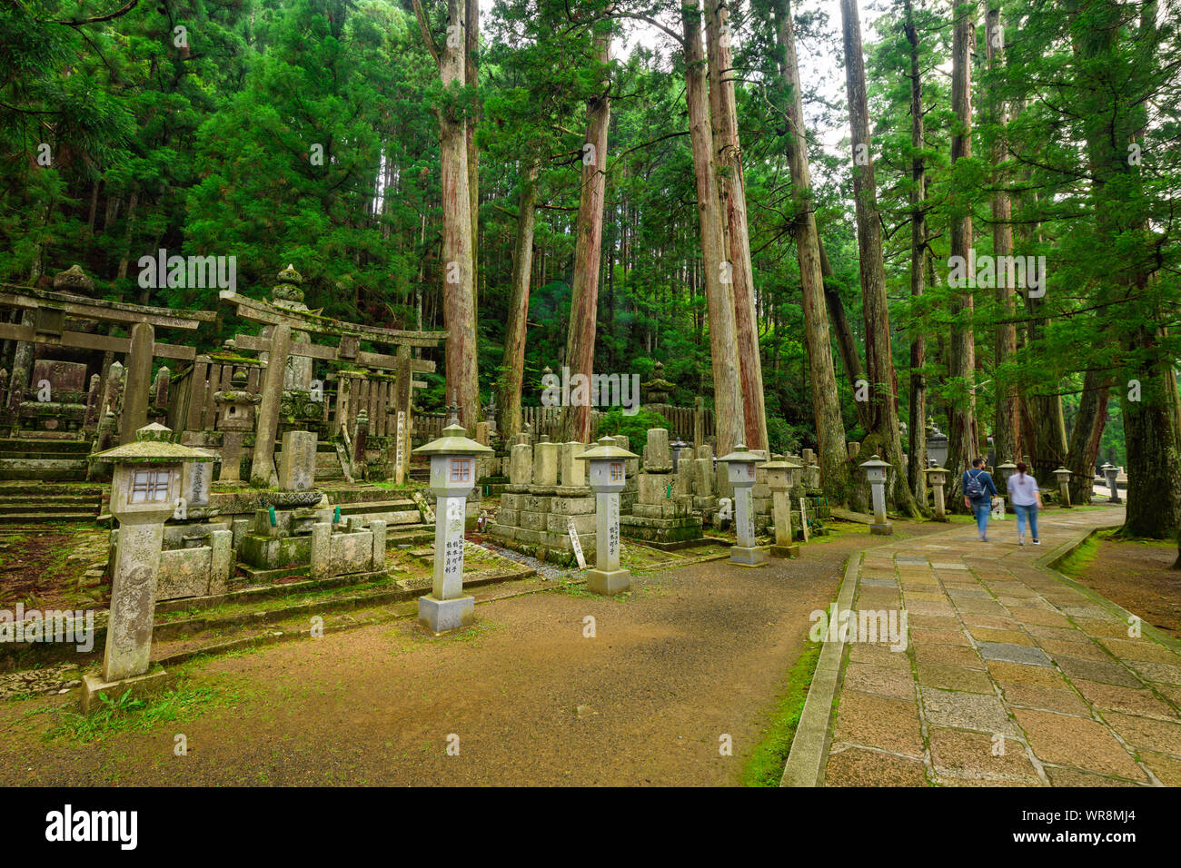 Wakayama, Japan - 23 July 2019: Route leading to Okunoin at Koyasan, a UNESCO World Heritage Site. Okunoin is one of the most sacred places in Japan a Stock Photo